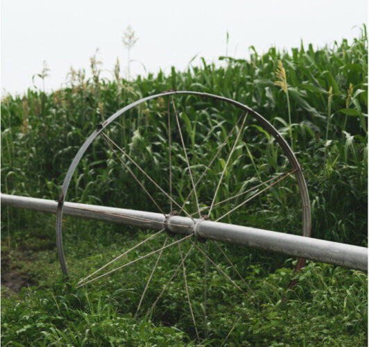 Reels of the Heartland: How Midwestern Traditions Influence Modern Online Slots